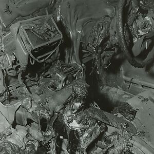 The Great Calm - Black Vinyl by Whispering Sons