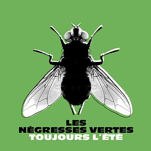 Toujours L'Été (Best Of) by Les Negresses Vertes