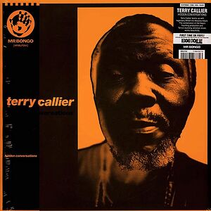 洋楽 WHAT COLOR LOVE TERRY CALLIR