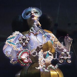 ミュージシャン 3/31 Bjork cornucopia LITHOGRAPH Amazon.co.jp