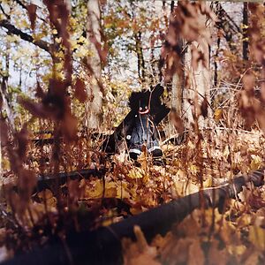 Golliwog, Billy Woods – 2 x LP – Music Mania Records – Ghent