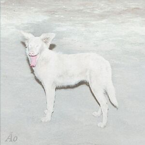 Malandra by Ão