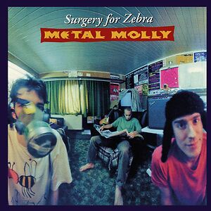 Surgery For Zebra by Metal Molly Surgery For Zebra by Metal Molly