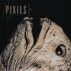 PIXIES indie cindy ピクシーズ レコード 新品未開封 THE PIXIES limited 180 gram Vinyl 2LP Indie Cindy (2014 Pixies