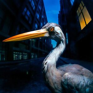 Decoding Birdsong - Beak Yellow Vinyl by Antony Szmierek