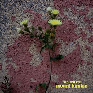 Fabric Presents Mount Kimbie LP by Mount Kimbie