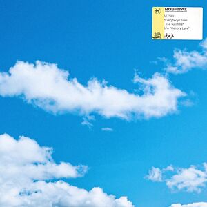 Everybody Loves The Sunshine by Netsky