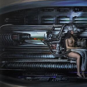 XXXXX by Arca