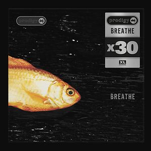 Breathe - x30 by The Prodigy Breathe - x30 by The Prodigy