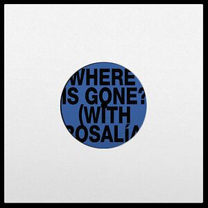 Where Is gone? (feat ROSALIA) by Fontaines D.C.