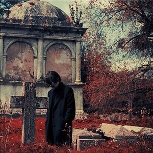 Requiem For A Village - Indie Only Vinyl by Steven Wilson