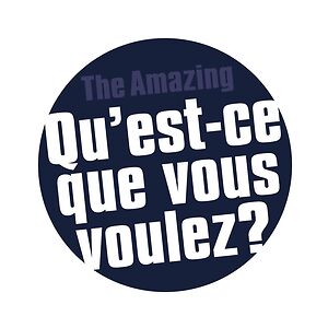 Qu'Est-Ce Que Vous Voulez? by The Amazing