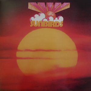 Sunbirds by Sunbirds
