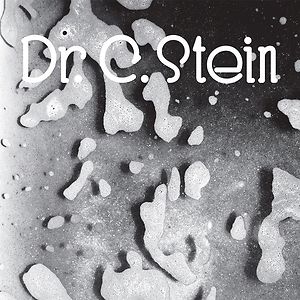 Selected Works 1983-1988 by Dr. C. Stein