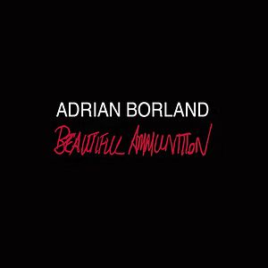 Beautiful Ammunition by Adrian Borland