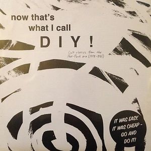 Now That's What I Call DIY ! (Cult Classics From The Post-Punk Era 1978-82) by Various