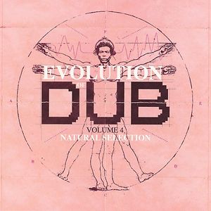 Evolution Of Dub Volume 4: Natural Selection by Joe Gibbs & The Professionals
