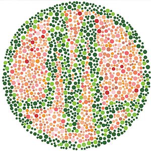 Synesthesia - The First Five Years by Various