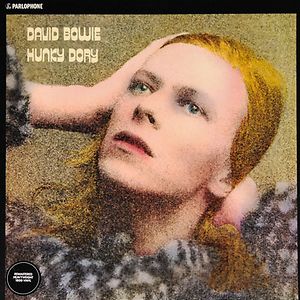 61256-hunky-dory.jpg