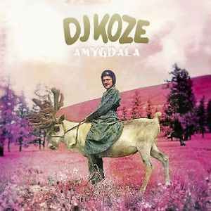 Amygdala by DJ Koze