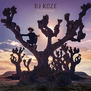 Knock Knock by DJ Koze