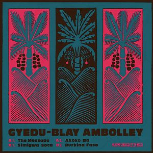 The Message by Gyedu Blay Ambolley