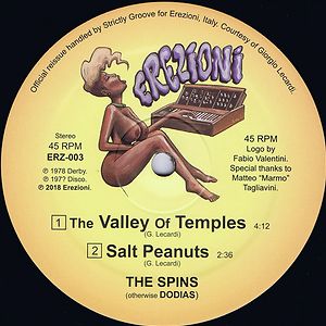 The Valley Of Temples by The Spins