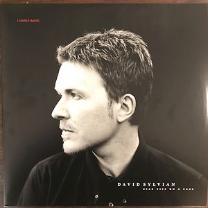 Dead Bees On A Cake by David Sylvian