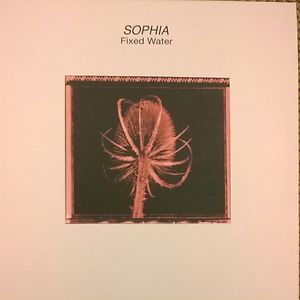 Fixed Water by Sophia
