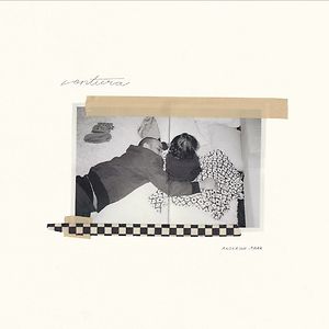 新品 Anderson .Paak / Venice 2LP レコード andersonpaak-venice-