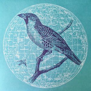 Peace Bird EP by Genius Of Time