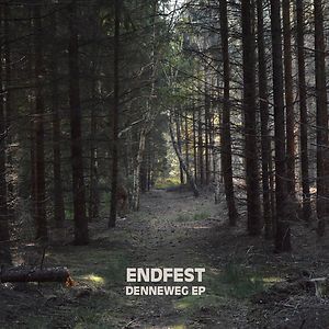 Denneweg EP by ENDFEST