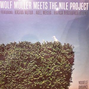 Wolf Müller Meets The Nile Project  by Wolf Müller