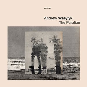 The Paralian by Andrew Wasylyk