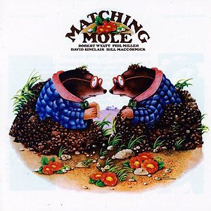 Matching Mole by Matching Mole
