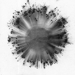 Obverse - Black / White vinyl by Trentemøller