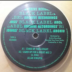 Stand Up For A Right by Alan King Pin