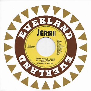 What Would I Have (If I Didn't Have You) by Stevens & Foster