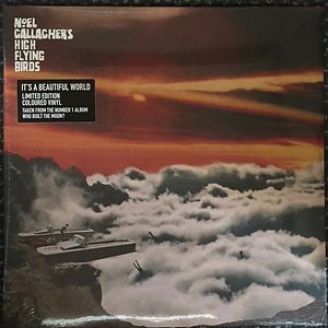 It's A Beautiful World by Noel Gallagher's High Flying Birds