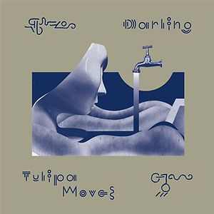 Tulipa Moves by Darling