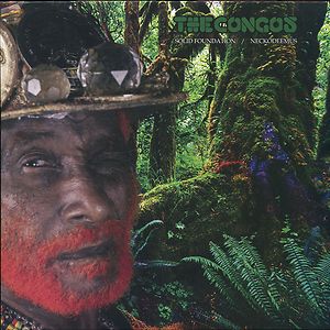 Solid Foundation / Neckodeemus by The Congos