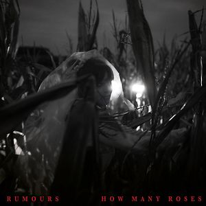 How Many Roses by Rumours