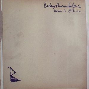 Down In Albion by Babyshambles