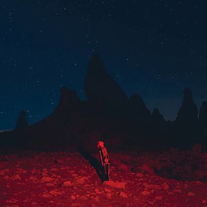 Punisher  by Phoebe Bridgers