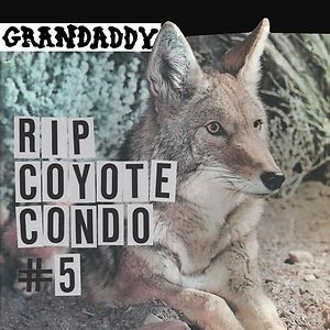 Rip Coyote Condo #5 by Grandaddy