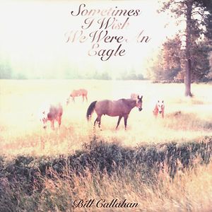 Sometimes I Wish We Were An Eagle by Bill Callahan