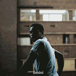 Iimini by Bongeziwe Mabandla