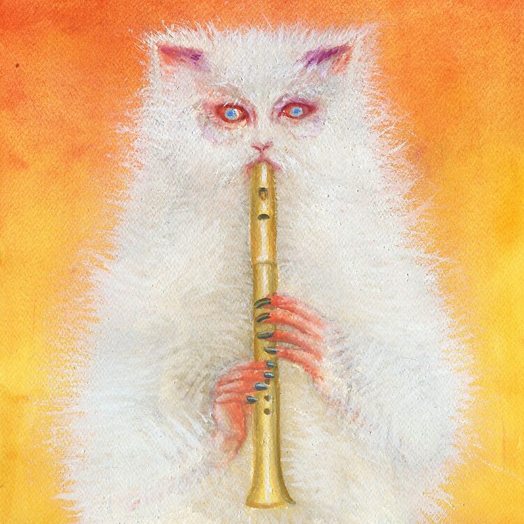 Instores by Romy Liz Rose, Selah Sue, Pitou, De Beren Gieren, Tin Fingers and much more...