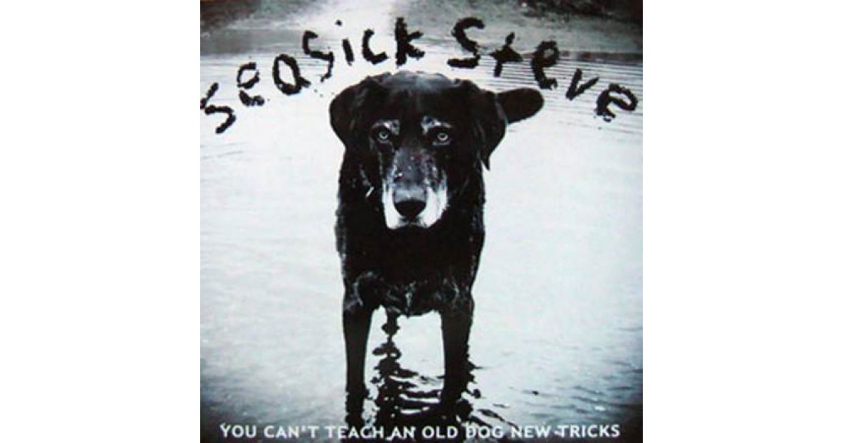 You Can't Teach An Old Dog New Tricks, Seasick Steve LP Music Mania