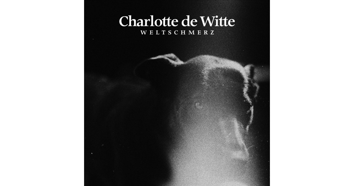 Weltschmerz - 2021 Repress - Black Marbled Vinyl, Charlotte De Witte – 12